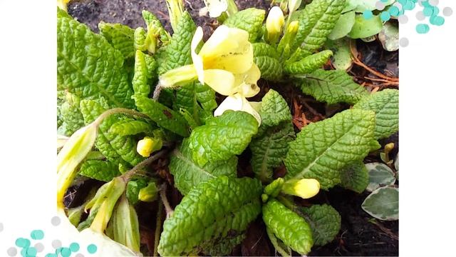 Наблюдение 7 группа смотреть онлайн