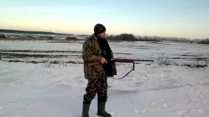 Пегасус
