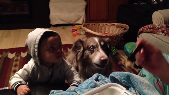 Собака говорит мама смотреть онлайн