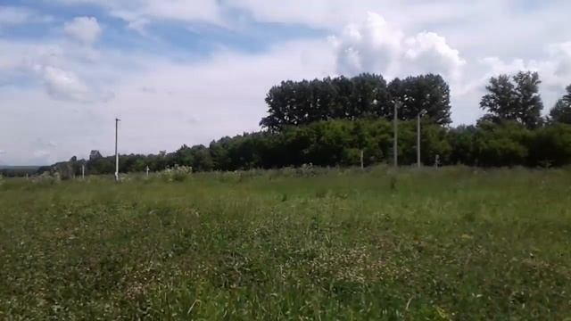 Живая природа смотреть онлайн