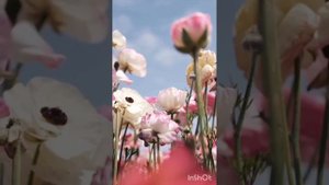 Медитация "Тело"