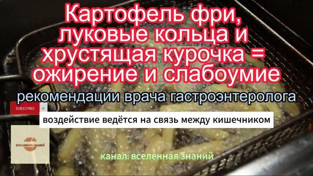 046-374 Картофель фри, луковые кольца и хрустящая курочка = ожирение и слабоумие. смотреть онлайн