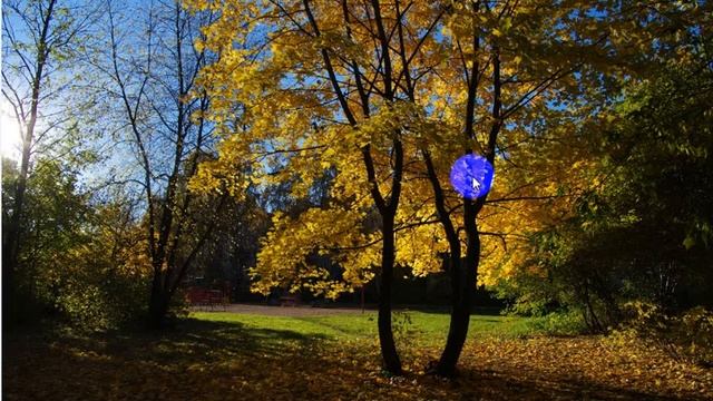 Туман над ставками Сказки на ночь Сухомлинський Казки на ніч смотреть онлайн