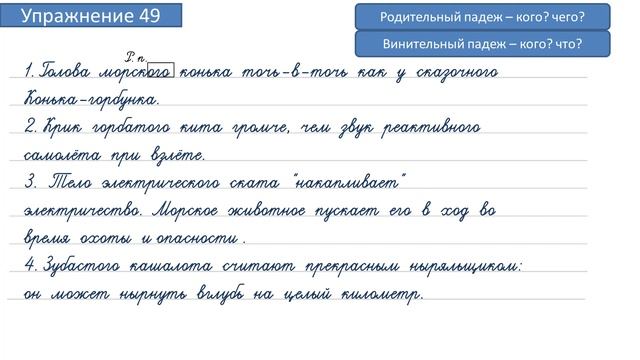 Упражнение 49 на странице 24. Русский язык 4 класс. Часть 2. смотреть онлайн