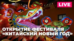 Захарова участвует в открытии фестиваля «Китайский Новый год»