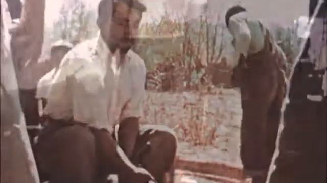 cult of zir - last buffalo смотреть онлайн