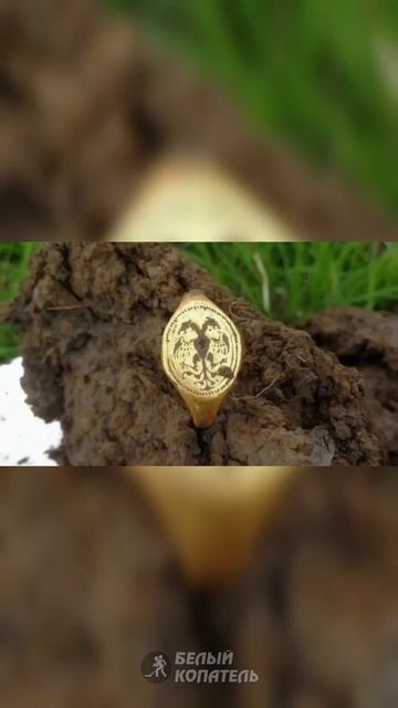 Удача улыбнулась кладоискателю любителю смотреть онлайн