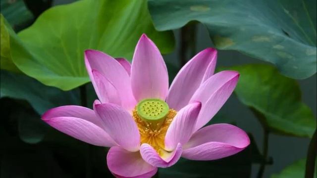 07-06-23. Русский язык. ч. 6. смотреть онлайн