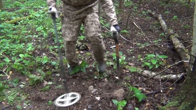 ЗВЕНЕЛО ВСЁ ВОКРУГ ... НАШЛИ КОШЕЛЁК МОНЕТ В ЛЕСУ!!!
