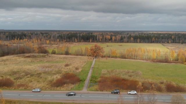 дуб Черешчатый смотреть онлайн