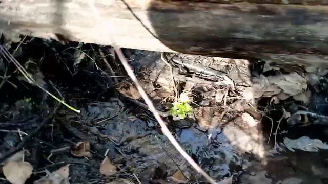 Ну что ребят вот и 5 часть,посмотрим что будет дальше😉 смотреть онлайн