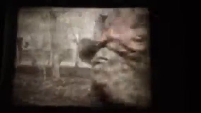 Домашнее видео 1984г.