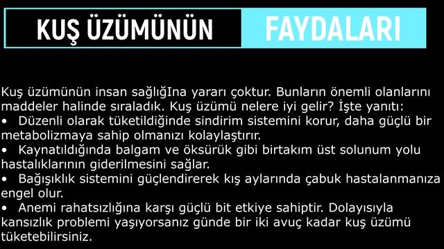 Zeytinyağlı Yaprak Sarması