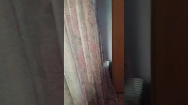 Рум тур: три дня в Калининграде✌ смотреть онлайн