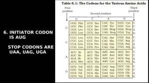 CLASS XII: MOLECULAR BASIS OF INHERITANCE - 8