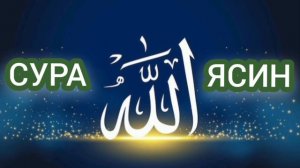 Сура Ясин красивый чтение 📖