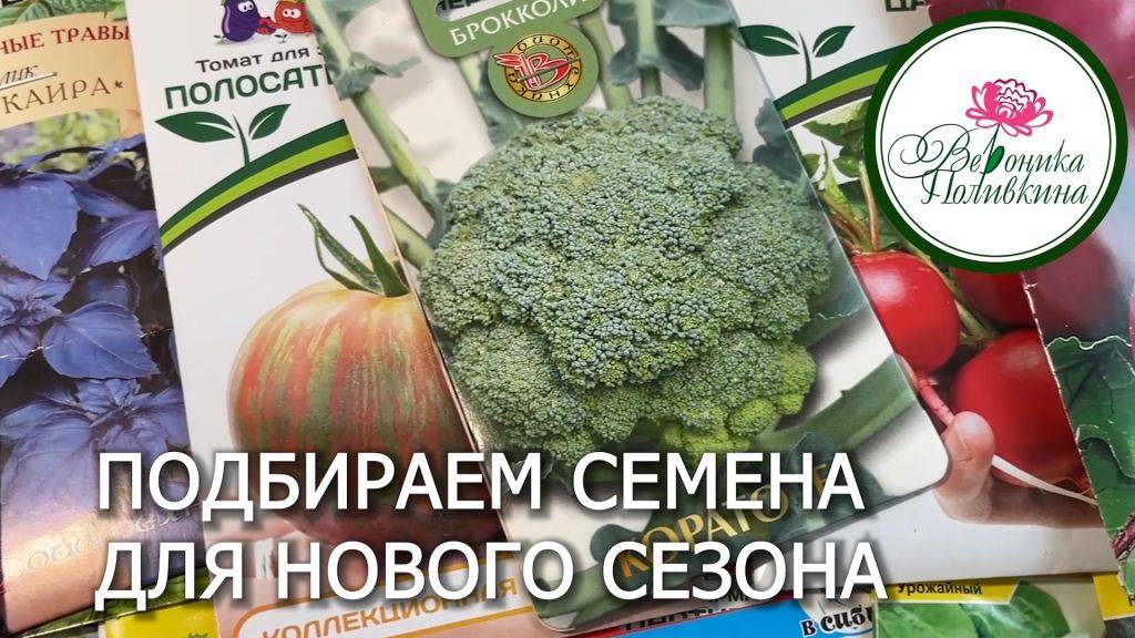 Что посадить в маленьком огороде для большого урожая. Подбираем семена культур