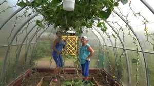 6 соток 6 августа 2020 года. Кто работает, тот ест! Пиццу и пироги!)