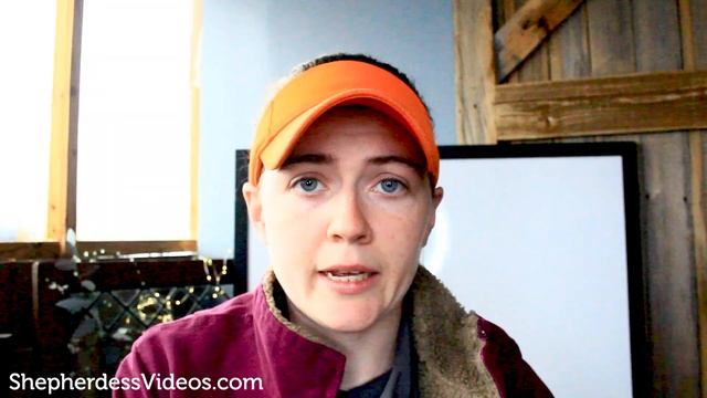 HOW I FOUND CUSTOMERS FOR MY FARM. // Farm Business Plan and Marketing | Small Farm Profit