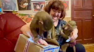 Мама не может ОТБИТЬСЯ от Степы и Мани, они хотят РАСПАКОВАТЬ ПОСЫЛКИ сами)))(1)