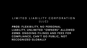 Business Types 101: What Business Owners Should Know about Entity Formation