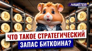 Биткоин: новый глобальный резерв ⚡️ Hamster Academy