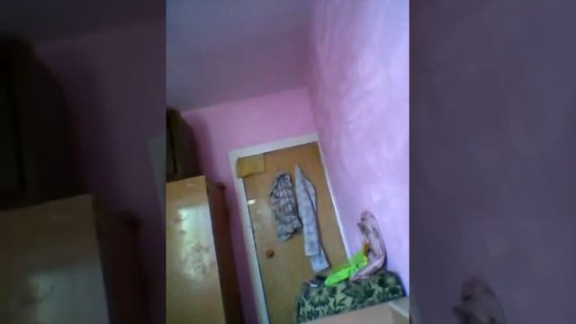 Моя скрытая история которая случилась сегодня ( читать описание))) смотреть онлайн