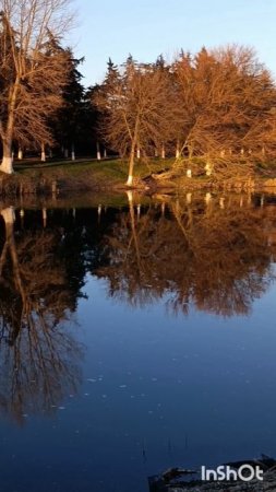 В реке как в зеркале, январь на Кубани.