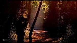 Тренинг-медитация  для женщин Как быть любимой и желанной. Найти любовь и завоевать сердце мужчины.