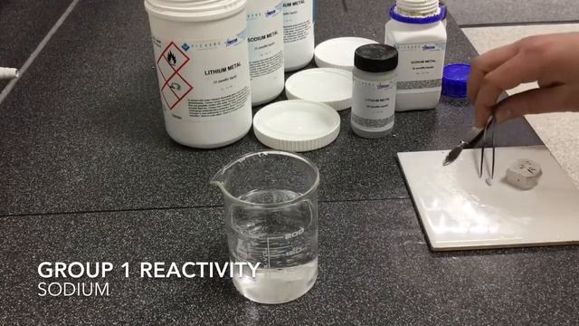 Demonstration: Reactivity of Group 1/Alkali Metals