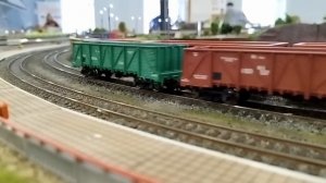 Поезда на большом модульном макете. Выставка "Железнодорожная модель", ЦМЖТ 2024