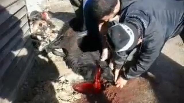 Курбан байрам смотреть онлайн