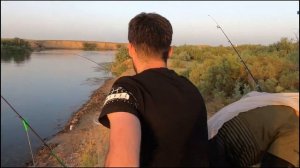 Рыбалка в пустыне или бешенный клёв дикого сазана Узбекистан. fishing in a wild river in Uzbekistan