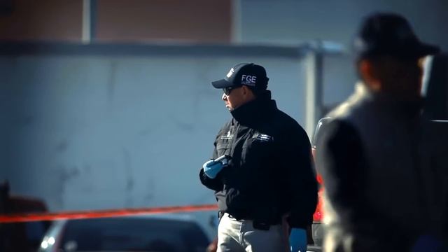 5 ПОЛИЦЕЙСКИХ, КОТОРЫХ ПОЙМАЛИ С ПОЛИЧНЫМ
