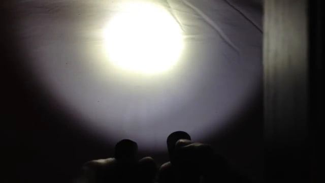 Fenix PD22UE vs Olight S10R смотреть онлайн