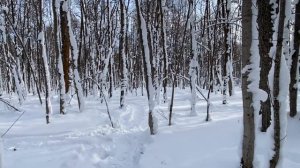 Обращение к подписчикам/Отвечаю на Важные Вопросы/Ранчо на Урале