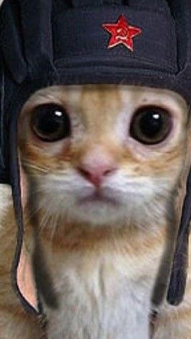 как появился тигр131 смотреть онлайн