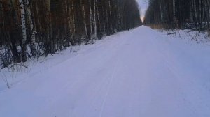 Металлокоп.  Зимняя разведка