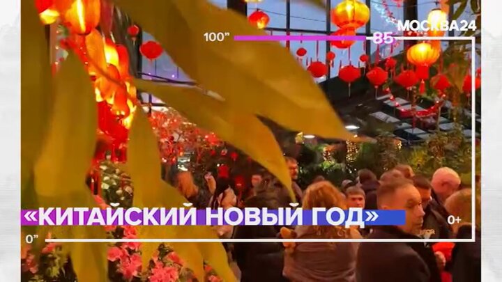 "Культура за 100 секунд": декорации в китайском стиле появились в "Аптекарском огороде"
