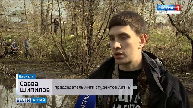 остров погибших кораблей на Пивоварке