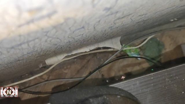 011223/Добрый день (за исключением мелких тварей)\9803 смотреть онлайн