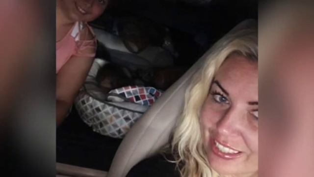 Мать-собака закрывала щенка собой дрожа от страха в клетке приюта.