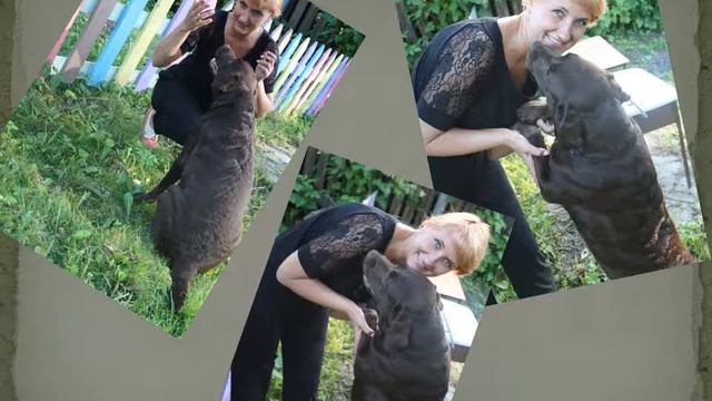 Элис и я смотреть онлайн