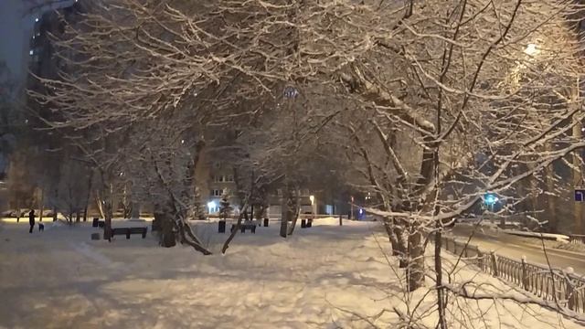 Екатеринбург, 29 января - После снегопада