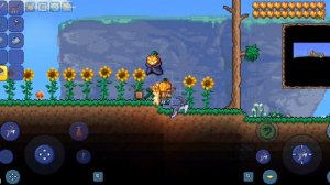 Как получить самого редкого питомца в Terraria