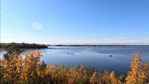 Folkpromrak - Lokakuu (Jouhikko Song)