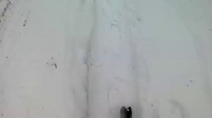 тест пороха сокол и салют 4