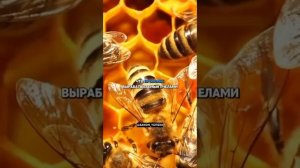 Интересные факты о мёде 🍯