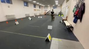 Класс "Дебют", Кобелева Людмила, Ка-де-бо Амелия. "Кубок Панды 2023 по Ралли Обидиенс онлайн"