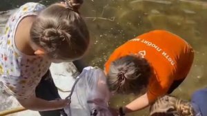 Биология ДетиЛюбят.